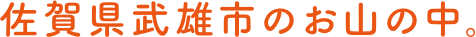 佐賀県武雄市のお山の中。