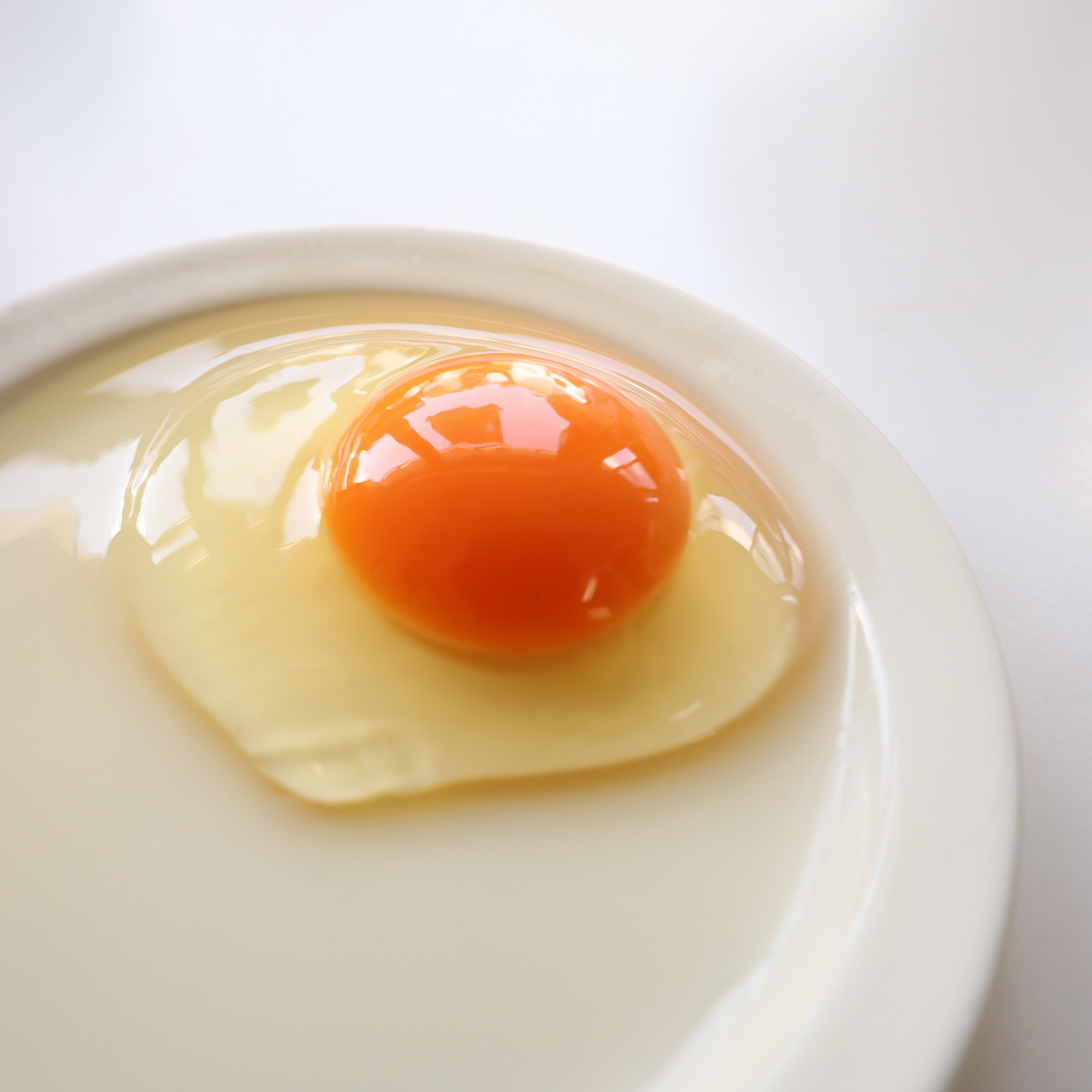 初卵、産みはじめてます | 養鶏場にっき | こだわりたまご通販 いとう